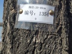 -南湖大桥