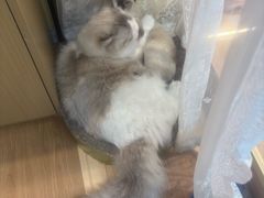 -剧狐剧本杀(徐汇1号店)