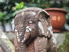 -峨眉山报国寺