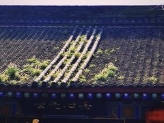 -罔极寺