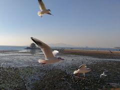 -栈桥景区