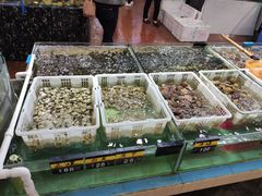 水产区-绿雅居原生态农庄(小涌店)