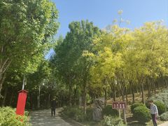 -河北省园博园