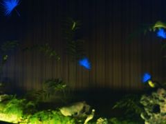 -足本纪·足道 SPA 简餐 小吃(百官广场店)