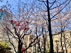 -恒基688广场