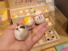 -猫的天空之城概念书店(北戴河蔚蓝海岸店)