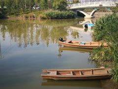 -上海长兴岛郊野公园