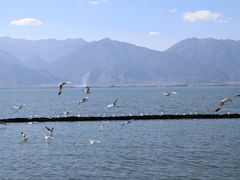 -大理洱海