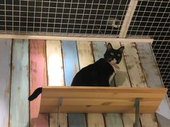 -小时光咖啡馆(开森度假森林店)