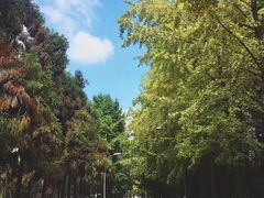 -四川大学(望江校区)