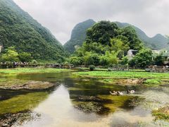 -靖西鹅泉风景区