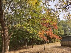 -九里河湿地公园