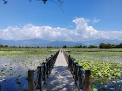 -野鸭湖国家湿地公园
