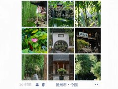 -打酱油·非遗淮扬菜(瘦西湖梅岭老店)