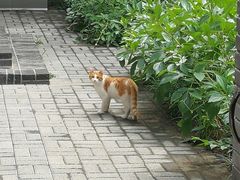 -红楼梦邮局