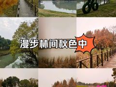 -贡湖湾湿地公园