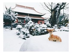 -苏州文庙(姑苏区)