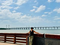 -宝安西湾红树林湿地公园