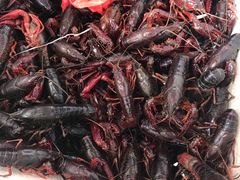 -江杨农产品批发市场