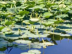 android_upload_pic-如家酒店(上海南京路人民广场店)