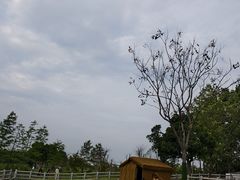-嬉乐湾休闲旅游区