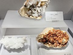 -湖南省地质博物馆