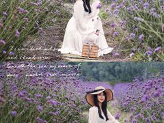 -紫颐香薰山谷景区