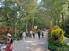 -山外山菜馆(玉泉路店)