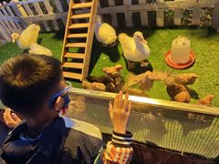 -广州长隆国际大马戏