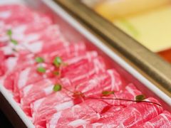 -九鼎轩脆毛肚火锅(三钢里店)