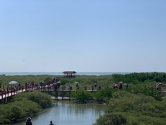-北海金海湾红树林生态旅游区
