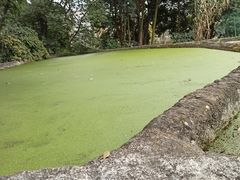 -成都市活水公园