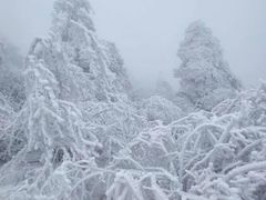 -秦岭风景区