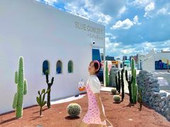 -Blue Concept Cafe&Farm·關於藍