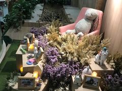 -藦茜花园宠物主题亲子互动体验馆(国顺东路店)