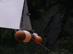 -重庆睡佛山森林公园