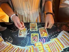 -雪灵魔法世界SHELLY’S TAROT(大良桂畔里店)
