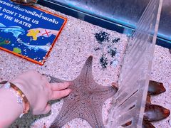 -暹罗海洋世界