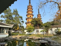 -鑫震源·苏式大虾生煎(山塘街店)