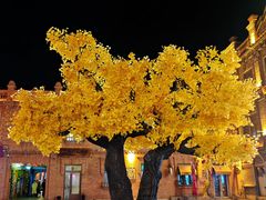 -中华巴洛克风情街