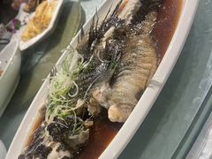 -高老庄绿色传奇(昊元生活广场店)