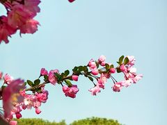 -龙寺生态园
