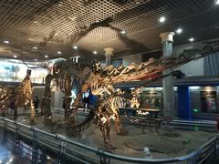 -国家自然博物馆