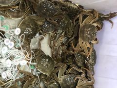 -蟹状元大闸蟹·年货·粽子(成都成华店)
