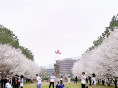 -同济大学(嘉定校区)