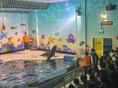 -太平洋海底世界