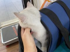 -荔康动物医院(康王北路店)