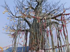 -太和环球嘉年华游乐园