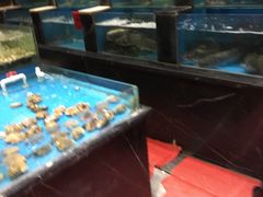 水产区-麻辣港湾(京津公路店)