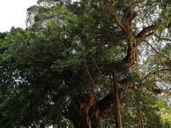 -闽粤南澳总镇府